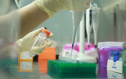 Lật mở thân phận sau hàng chục năm: Xét nghiệm ADN giúp Việt kiều tìm lại nguồn cội