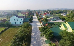 Cả nhà tưởng tôi dại dột khi từ chối phần tài sản lớn nhất, tôi chỉ cười nhẹ, ngu gì mà "tham bát bỏ mâm"