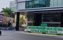 Vụ án tại VRG: Triệu tập 93 doanh nghiệp, ngân hàng, cá nhân liên quan