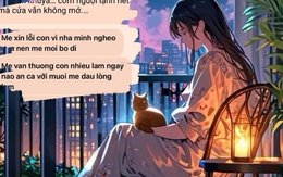 "Mẹ bỏ mình để đi theo người khác": Đoạn tin nhắn ngắn gọn nhưng gây nhức nhối nhất MXH hôm nay