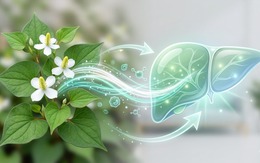 Loại rau gia vị phải 'bịt mũi' khi ăn nhưng hỗ trợ thải độc gan cực tốt