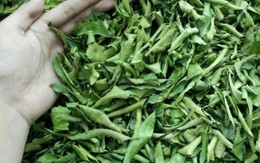 Lá của cây này đem phơi khô quý như "nhân sâm của người nghèo", đừng bỏ phí