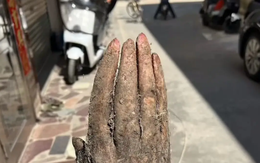 Đào được nguyên "bàn tay" trong vườn nhà, cụ ông hốt hoảng khi có người trả tới 28 triệu đồng để sở hữu