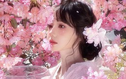 Năm Bính Ngọ 2026: Điểm mặt 5 con giáp cứ làm nghề phụ là hái ra tiền, phất lên đổi đời nhờ đi đúng hướng