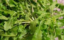 5 loại rau rẻ bèo giúp kích thích mọc tóc, bồi bổ gan lại làm đẹp da mặt, chợ Việt nào cũng có bán