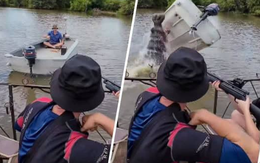Thót tim khoảnh khắc "quái thú 3 tấn" lật úp ca nô chở du khách giữa sông