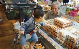 Cháu làm vỡ hết trứng trong siêu thị, ông nội có cách xử lý lay động lòng người