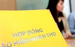 Mẹ chồng mất 1 tháng, tôi bất ngờ nhận được món tiền bảo hiểm khổng lồ đứng tên mình, sự thật phía sau khiến tôi nghẹn ngào