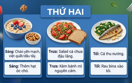 Bí mật chữa lành Thân – Tâm – Trí từ Địa Trung Hải: Người càng bận rộn càng dễ áp dụng, cả tuần an yên