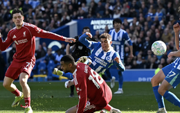 "Lão tướng" Welbeck lập công, Brighton quật ngã Liverpool
