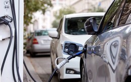 Việt Nam vượt EU và Mỹ về tỷ lệ chuyển đổi xe điện: Khi EV không còn là lựa chọn xanh mà là "tấm khiên" kinh tế