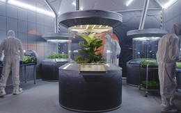 Khu vườn trên Sao Hỏa: Triển vọng về hệ thống canh tác khép kín