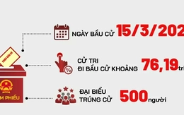 Toàn cảnh cơ cấu 500 đại biểu Quốc hội khóa XVI