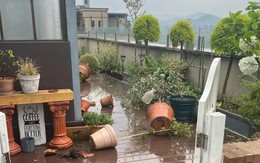 Có nên mua căn hộ có sân thượng? Người từng sống ở đây nói thẳng: Lãng mạn thì ít, đánh đổi thì nhiều