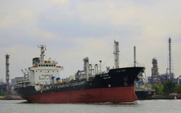 Eo biển Hormuz tắc nghẽn, một quốc gia vẫn cho rằng "có thể chấm dứt sự phụ thuộc của thế giới vào dầu mỏ"