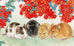 Chỉ mặt điểm tên 4 con giáp "hốt bạc" nửa đầu năm 2026: Vận trình lên hương nhờ một điểm chung ít ai ngờ tới!