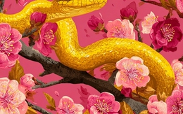 Giỏi quan sát, tâm tinh tế: 4 con giáp không bỏ lỡ một cơ hội làm giàu nào, ngoạn mục thoát nghèo trong tháng 4