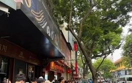 Khổ sở xếp hàng mua vàng bạc rồi trúng quả... đắng