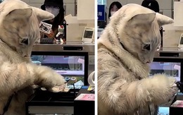 13 bức ảnh chứng minh Nhật Bản không thuộc hành tinh này