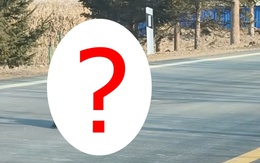 Thấy sinh vật cao gần 1 mét ngang nhiên băng qua đường, chuyên gia hé lộ đó là loài ít ai ngờ tới