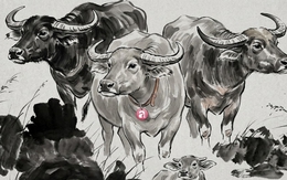 Tử vi tuần mới (30/3 - 5/4): Top 3 con giáp được Thần Tài ưu ái, tài lộc lẫn công việc đều lên hương