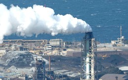 Eo biển Hormuz gián đoạn: Nền kinh tế 4.000 tỷ USD sắp thay thế LNG bằng ... than