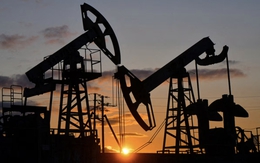 Nga chuẩn bị cấm xuất khẩu xăng từ 1/4