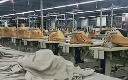 Bị nợ lương từ 6 tháng, người lao động có quyền yêu cầu áp dụng thủ tục phá sản doanh nghiệp