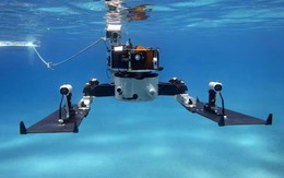 Nga thần tốc tìm ra chân tướng ở nơi bí ẩn bậc nhất trên Trái đất: Một nước Đông Á được gọi tên