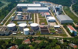 Xăng E10 mở 'cơ hội vàng' cho nông nghiệp và kinh tế tuần hoàn