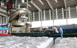 Hai 'ông lớn' Việt Nam đang nắm giữ át chủ bài giữa cảnh Hormuz gây đứt gãy chuỗi cung ứng phân bón toàn cầu