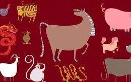 Bảng "xếp hạng vận may" 12 con giáp tuần mới