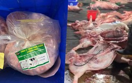 Vụ 300 tấn thịt lợn bệnh: Gói thầu hơn 10 tỷ đồng đưa thực phẩm bẩn vào trường tiểu học ở Hà Nội