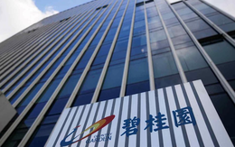 Một nhà phát triển BĐS bất ngờ có lãi sau 3 năm thua lỗ: Quốc gia giàu nhất châu Á đã thoát khỏi khủng hoảng nhà ở?