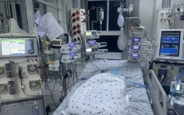 Cảnh báo: Virus mới khiến trẻ mắc tay chân miệng chuyển nặng, tử vong rất nhanh