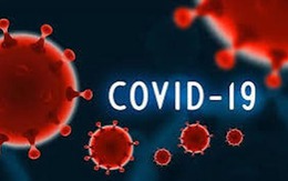 Biến thể 'Ve sầu' của COVID-19 khác gì so với chủng cũ?