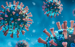 Biến thể Covid-19 “Ve sầu”: Không gây bệnh nặng hơn, nhưng vì sao vẫn phải cảnh giác?