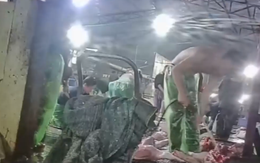 Hàng trăm trường tiểu học, mầm non ở Hà Nội liên quan đến đường dây thịt lợn bệnh