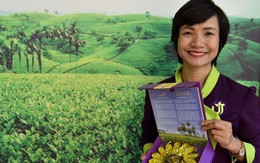 Hồi sinh loại cây từng bị đốn làm củi, chứa 'chất quý' gấp 135 lần bình thường, nữ giám đốc thu hơn 1 tỷ đồng/tấn