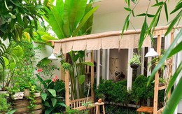 3 loại cây đừng trồng sau nhà