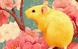 Lật giở lá số tử vi ngày 5/3/2026: 4 con giáp khổ tận cam lai, chuẩn bị sẵn bao tải đựng tiền vì quý nhân đã gõ cửa