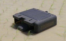 VN làm thành công dự án đầu tiên trên TG trong lĩnh vực nuôi sống một nửa nhân loại: Vừa áp dụng robot AI