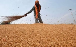 Căng thẳng Trung Đông: Lộ diện loạt mặt hàng tiếp theo bước vào chu kỳ tăng giá sau dầu thô, Việt Nam đang nhập khẩu rất nhiều