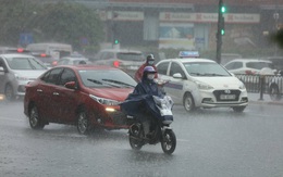 Tin gió mùa đông bắc mới nhất: Miền Bắc sắp có mưa vừa, mưa to trở lại