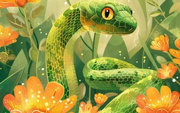 6 tháng tới: 3 con giáp được dự báo sẽ “đổi vận tài chính” cho cả nhà, kinh tế dần khởi sắc