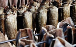 Việt Nam đón thêm tin vui từ Trung Quốc