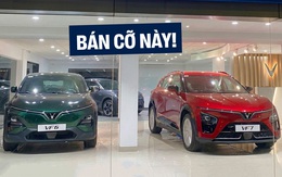 Ô tô điện VinFast bán vượt cả Kia, Hyundai ở thị trường tỷ dân mà chỉ cần đúng 2 mẫu, Limo Green chực chờ ra mắt kéo thêm doanh số khủng
