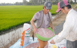 Xung đột Trung Đông khiến giá phân bón tăng mạnh, có tác động tới Việt Nam?