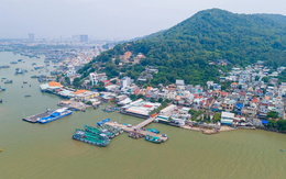 Đề xuất chọn nhà đầu tư đường vượt biển Cần Giờ-Vũng Tàu theo hình thức đặc biệt