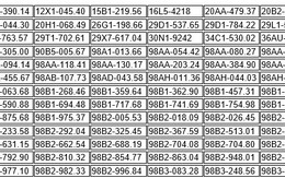 403 chủ xe có biển số sau nhanh chóng nộp phạt nguội theo Nghị định 168: Vi phạm một lỗi có mức phạt lên đến 22 triệu đồng